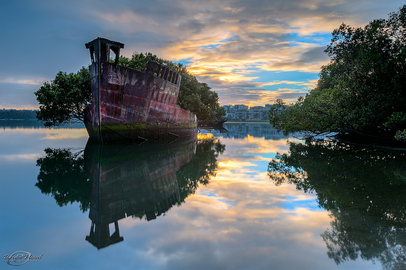 boat-nature-lac