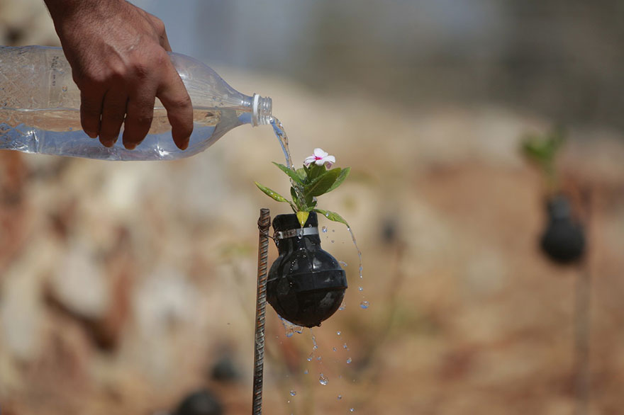 gas-flower-pots-palestine3